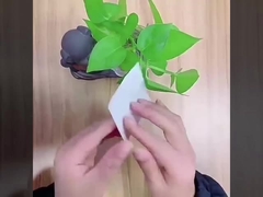 màng đàn hồi bán trong suốt